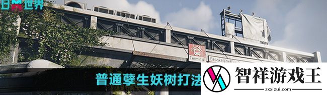 七日世界普通孽生妖树怎么打-普通孽生妖树打法攻略