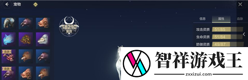 妄想山海中宠物怎么快速升级