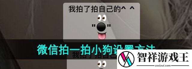 微信拍一拍养小狗怎么弄-拍一拍养小狗设置方法