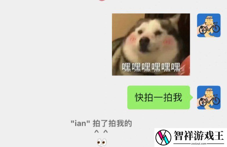 微信拍一拍养小狗怎么弄