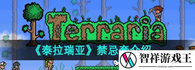 泰拉瑞亚禁忌套值得制作吗-禁忌套介绍