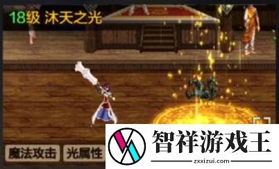 地下城与勇士起源圣骑士加点攻略是什么