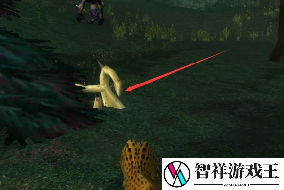 魔兽世界雨燕草如何获取
