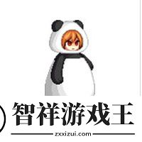 dnf熊猫装扮外观一览