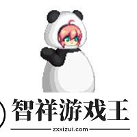 dnf熊猫装扮外观一览