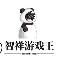 dnf熊猫装扮外观一览