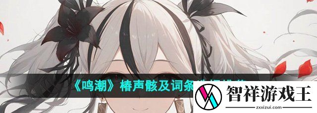 鸣潮椿声骸及词条怎么选择-椿声骸及词条选择推荐