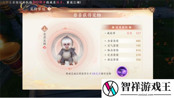 天龙八部2飞龙在天宠物繁殖