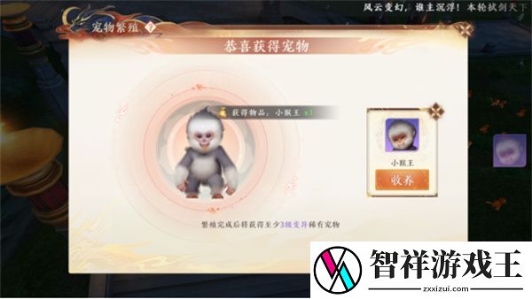 天龙八部2飞龙在天宠物繁殖