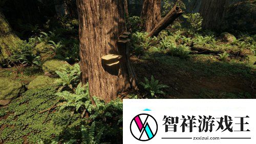 DICE植被设计师用虚幻4打造绝美森林