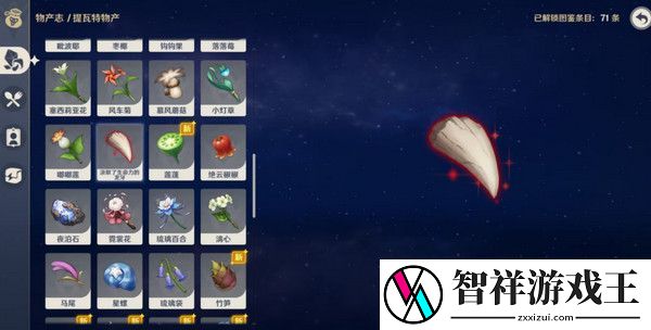 原神奇异的牙齿任务攻略