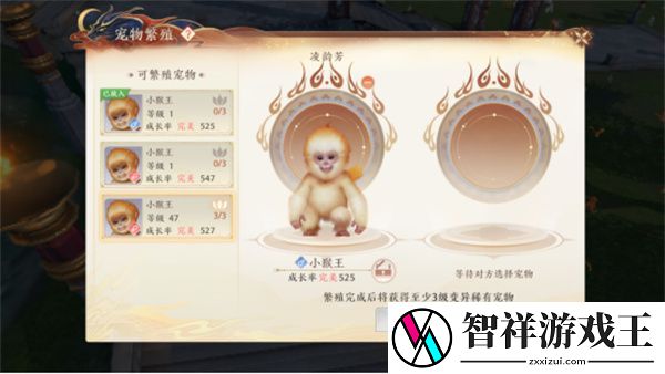 天龙八部2飞龙在天宠物繁殖