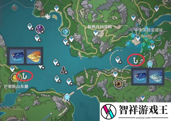 原神灰河渡手钓鱼地点分布图
