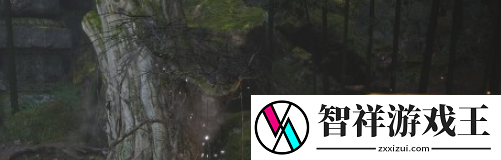 黑神话悟空葫芦升级材料有哪些