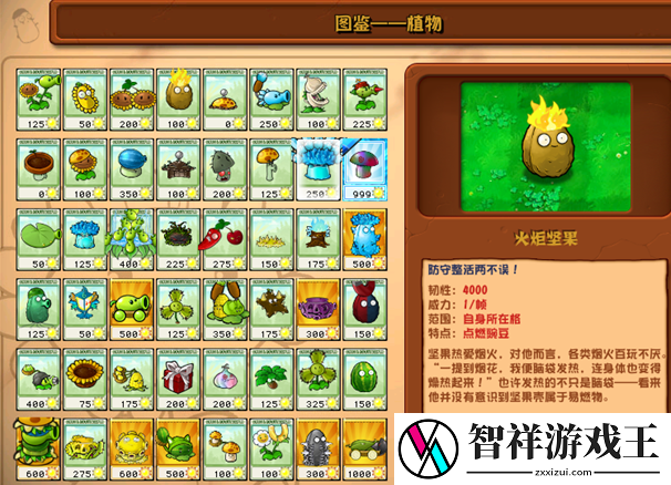 植物大战僵尸杂交版火炬坚果详情-植物大战僵尸杂交版火炬坚果图鉴