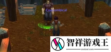 魔兽世界rppvp什么意思