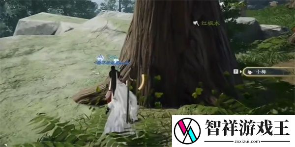 射雕手游金盏罗盘怎么获得