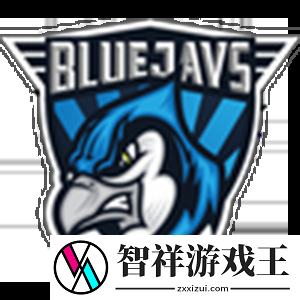 为争取VRS积分