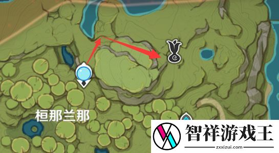 原神最终森林会记住一切任务攻略
