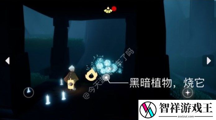 光遇1.3任务怎么做