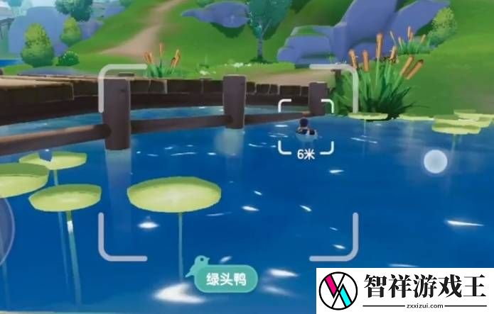 心动小镇观鸟爱好怎么解锁