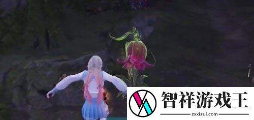 永劫无间手游龙隐洞天食人芋在哪
