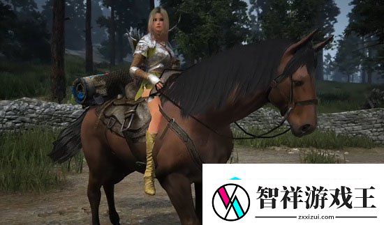 黑色沙漠欧美服更新周年活动