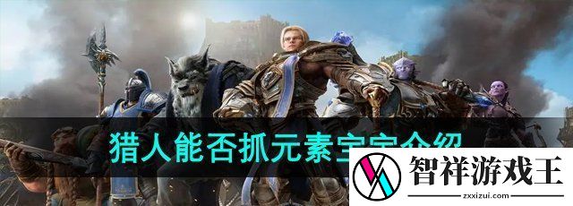魔兽世界猎人能否抓元素宝宝-抓元素宝宝介绍