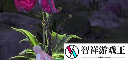 永劫无间手游龙隐洞天食人芋在哪