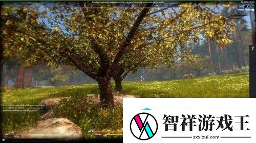 外国人独自研发网游Novus
