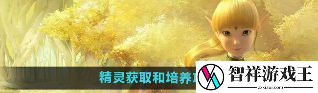 龙之谷手游精灵怎么获得-精灵怎么培养
