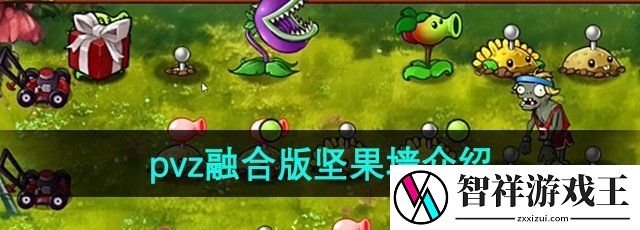 植物大战僵尸融合版坚果墙有什么用-pvz融合版坚果墙介绍