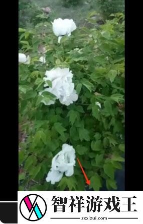 剪映已删除视频找回方法一览