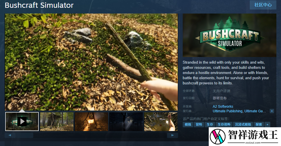 丛林生存模拟器Bushcraft-Simulator登陆Steam-红猪下载站hongpig.com