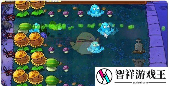 植物大战僵尸杂交版前院告急第11关怎么通关