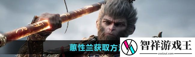 黑神话悟空蕙性兰如何获得-蕙性兰获取方法