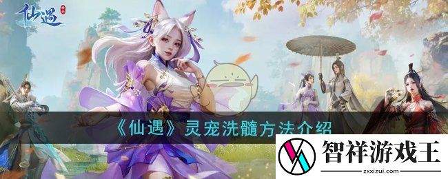 仙遇怎么给灵宠洗髓-灵宠洗髓方法介绍