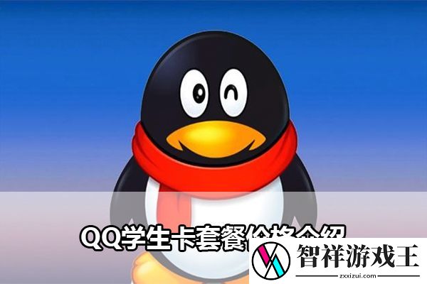 QQ学生卡套餐价格介绍：角色定位与战斗风格-展现独特个性与风采