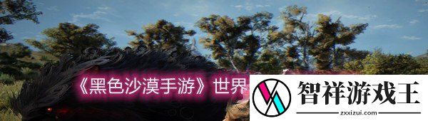 黑色沙漠手游世界boss位置在什么地方-黑色沙漠手游世界boss位置介绍一览