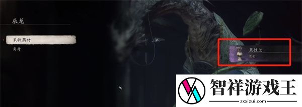 黑神话悟空蕙性兰如何获得