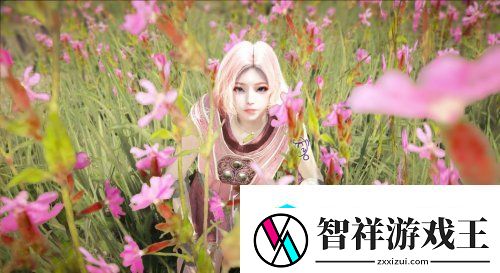 黑色沙漠原画欣赏