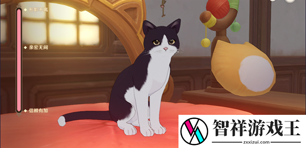 原神茸茸城堡大喵险第四天怎么过