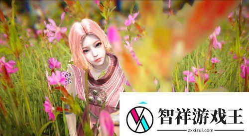 黑色沙漠原画欣赏